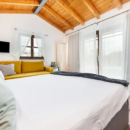 House Tamara 2041 度假居 罗维尼
